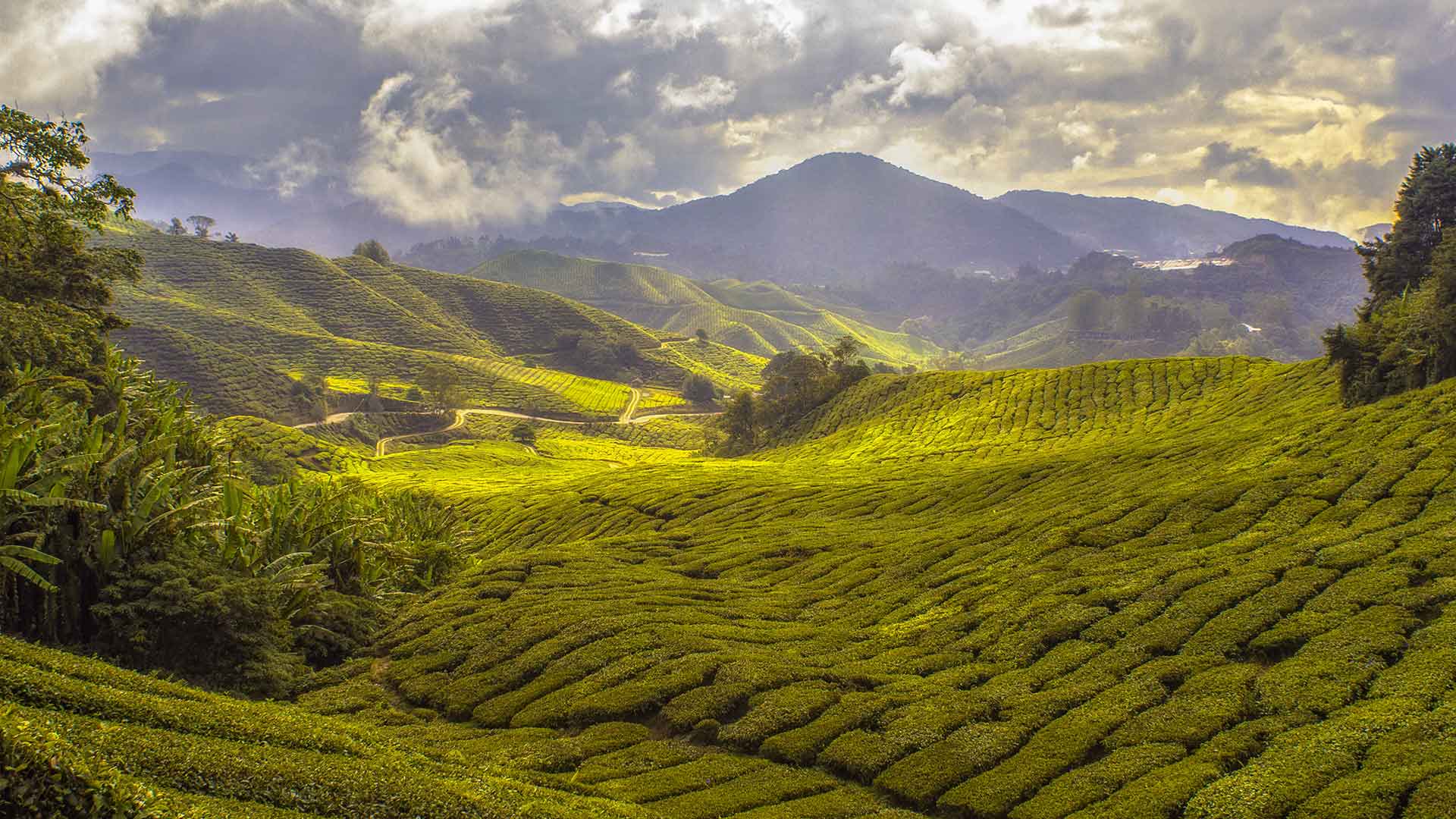 Fly & Drive Azië Geniet van een rondreis door Azië