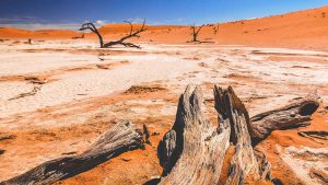 Namibië Foto 1