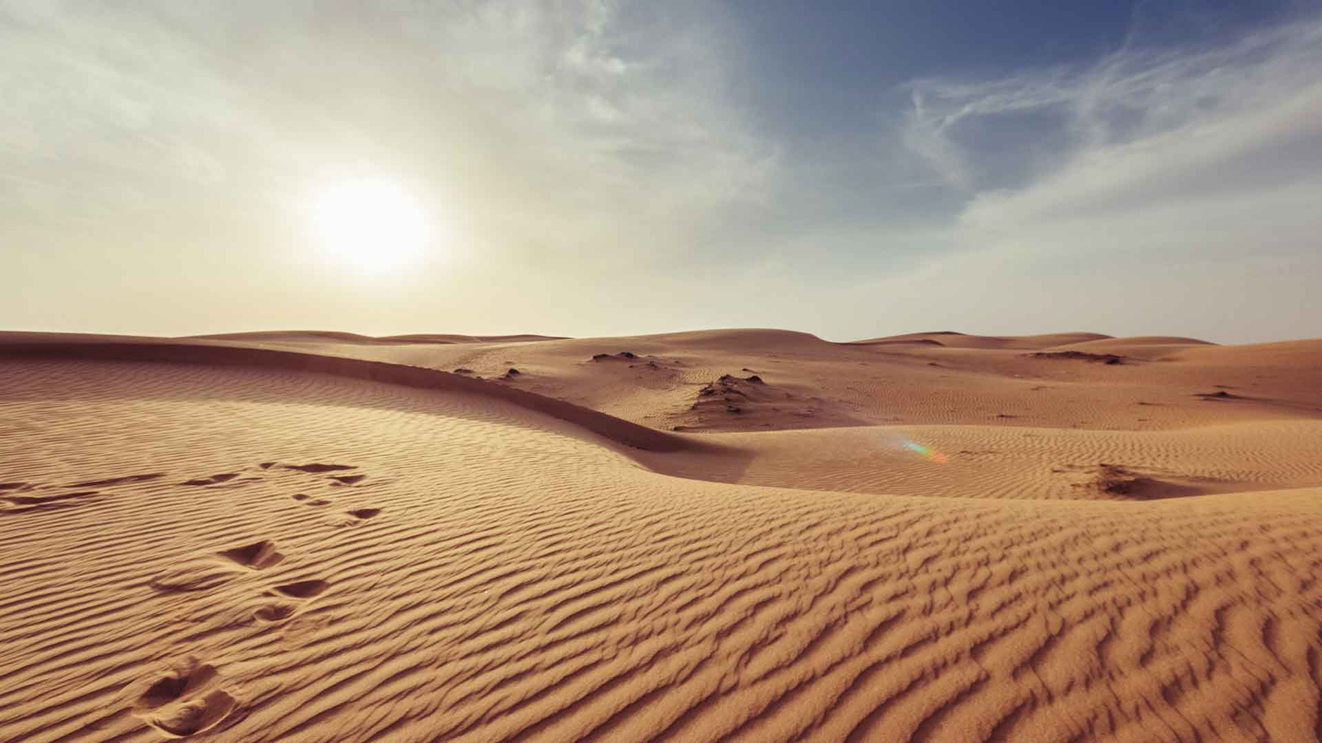 Fly & Drive Oman Geniet van een rondreis door Oman