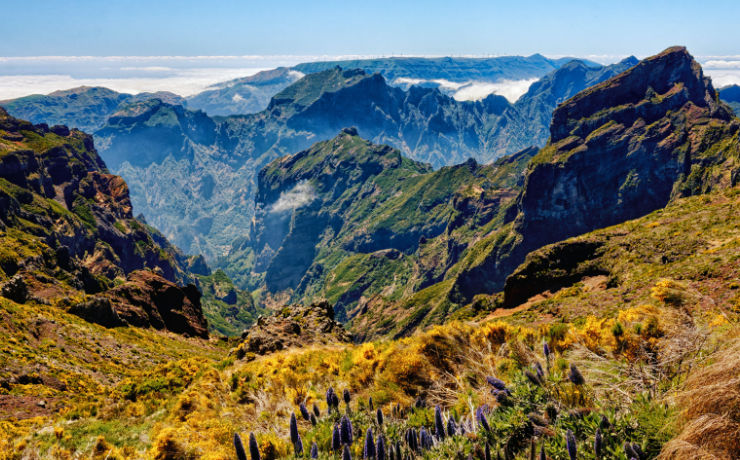 Bloemeneiland Madeira ontdekken tijdens je rondreis