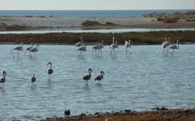 Geniet van de natuur op Sardinië