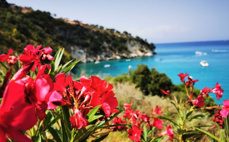 Stop en geniet van de prachtige natuur op Zakynthos!