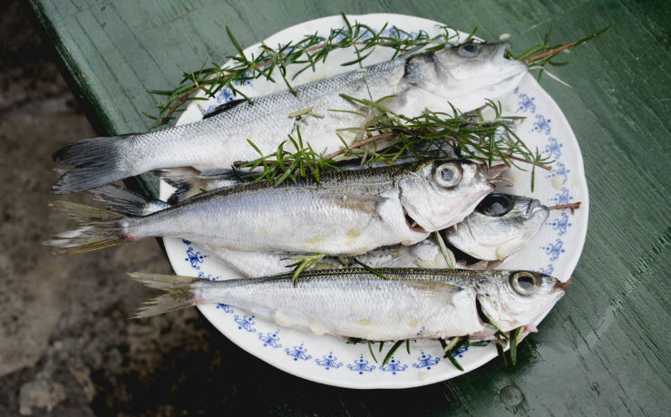 Laat je verrassen door de Kroatische keuken