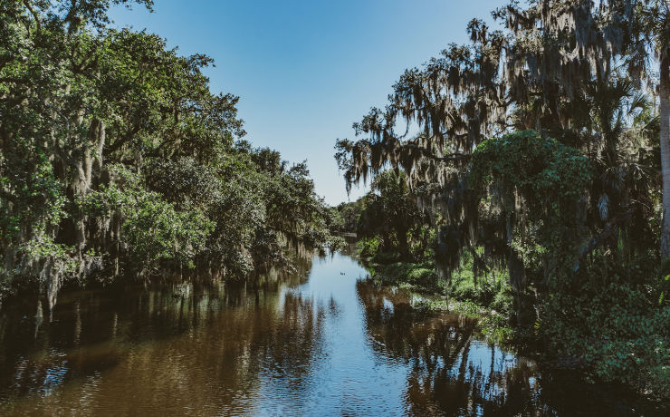 Wat een prachtige natuur heeft Florida