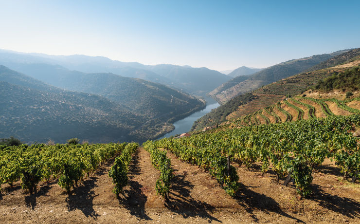 Wijnstreken van Portugal rondreis