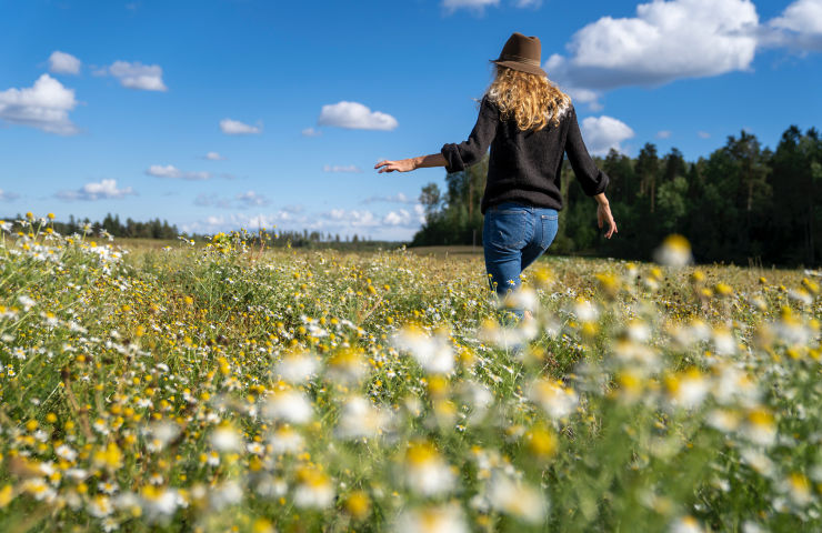 De zomer in Finland is heerlijk