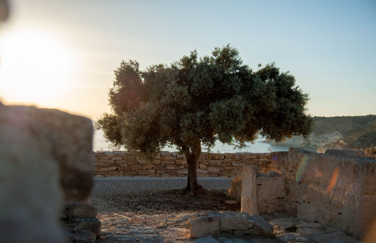 Even heerlijk bijkomen op Cyprus