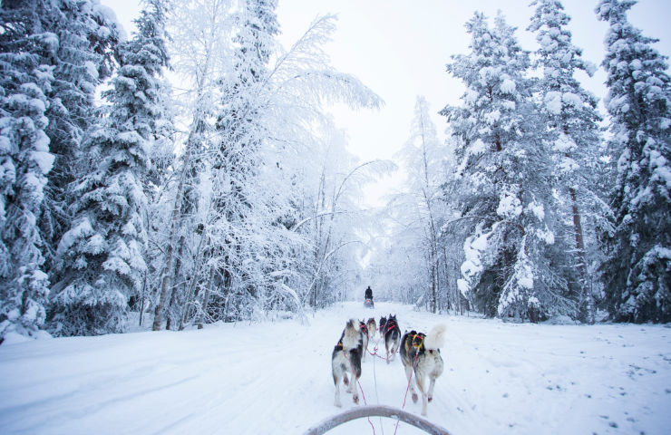 Jouw fly drive Finland wordt onvergetelijk