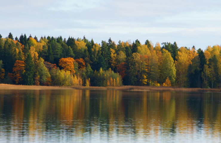 Natuurliefhebbers kunnen hun hart ophalen in Finland