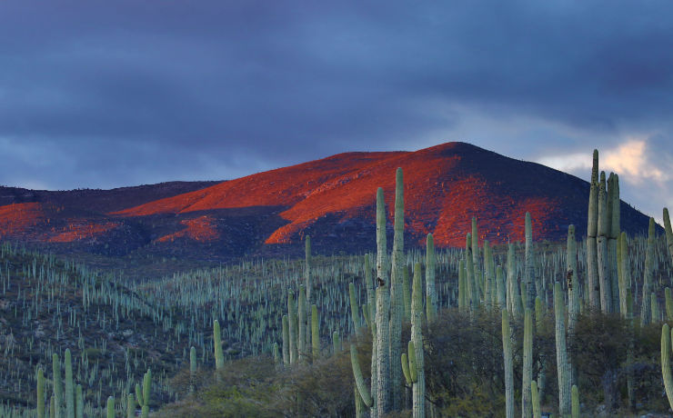 De natuur in Mexico is ongekend