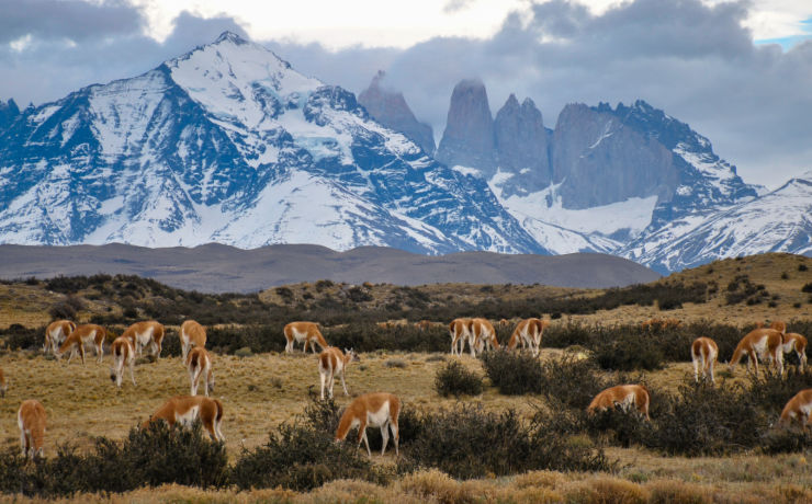 De natuur is een van de belangrijkste redenen voor een rondreis Chili