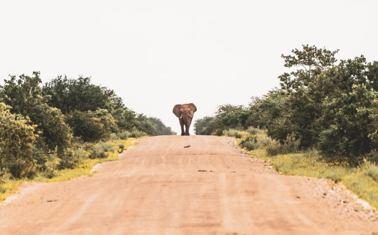 Een rondreis door Namibië brengt je verrassingen