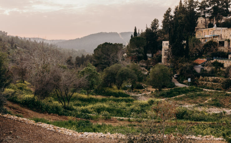 Geniet van de rust in het binnenland van Israël