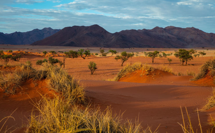 Je voelt je soms zo klein tijdens je rondreis door Namibië