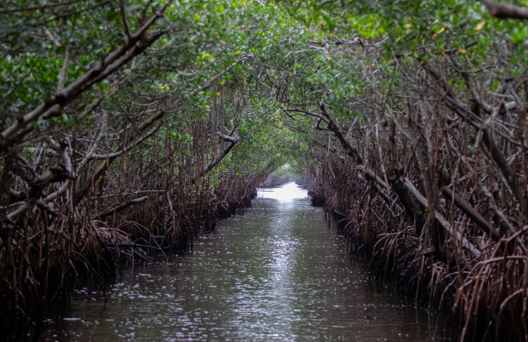 Everglades National Park