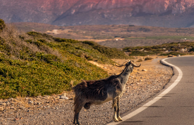 Ontdek de mooiste plekken tijdens je wandeling op Kreta