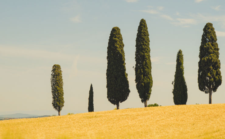 8 mooiste plaatsen in Toscane