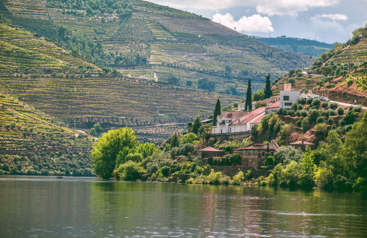 De Douro vallei in Portugal