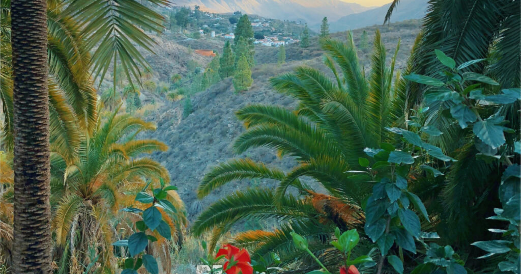 Gran Canaria tijdens onze rondreis