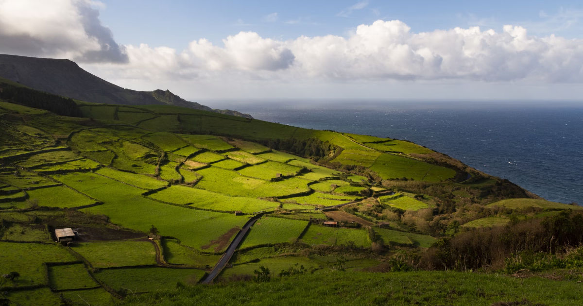 Pico eiland - Azoren - Portugal